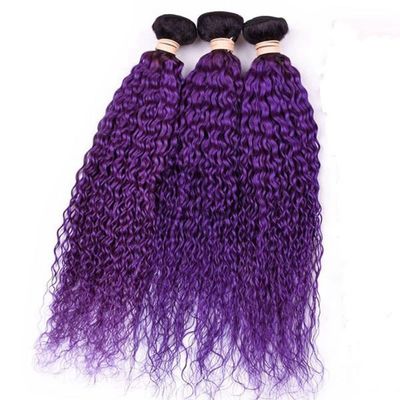 Un buen precio. #T1B/Purple Kinky Curly Remy Banderas de cabello humano Coser en tejido Banderas de paquetes brasileñas en línea