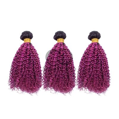 Un bon prix. #T1B/Purple Kinky Curly Remy Boucles de cheveux humains cousues en tissage Boucles de paquets Brésiliennes en ligne